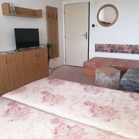 Sport Guest house *