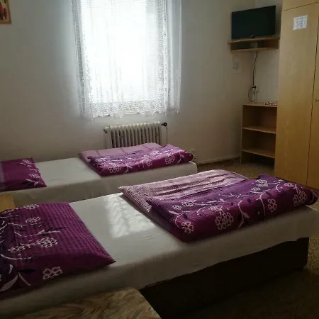 Guest house Sport *